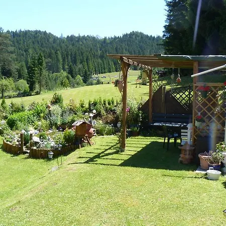 Genoveva * Лойташ